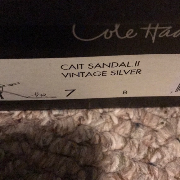 Cole Haan Cait Sandal II IN VINTAGE SILVER - Picture 7 of 8